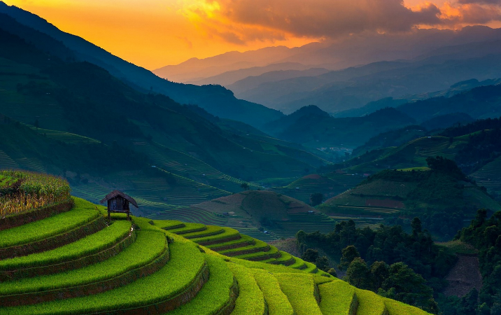 Mu Cang Chai