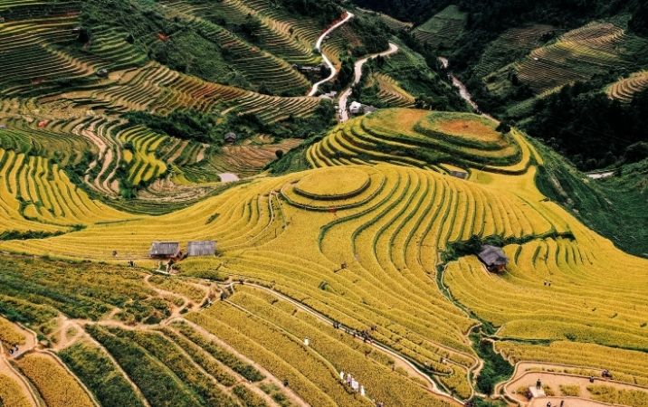 Mu Cang Chai