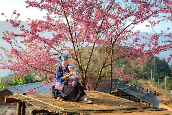 Mô tả blog web pháp