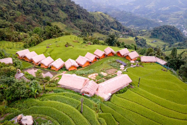 Rizières en terrasses de Hoang Su Phi