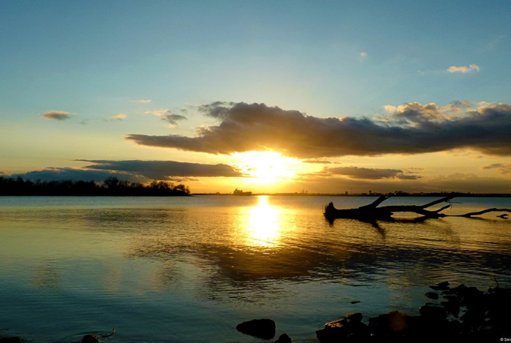 Admirer le coucher du soleil sur la rivière