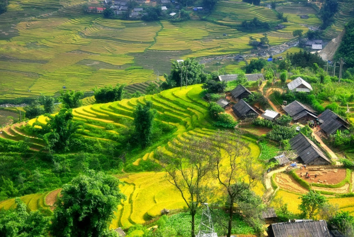 Conseils pour éviter les foules à Sapa