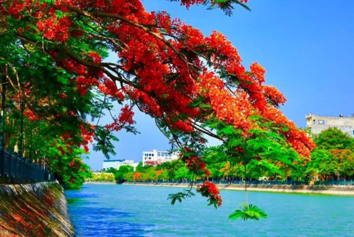 Conseils pratiques pour visiter Hai Phong