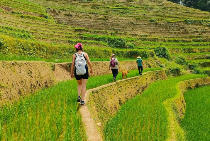 Faire une randonnée dans la vallée sauvage de Mu Cang Chai