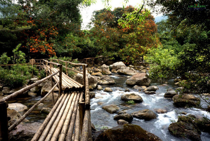 Nager dans le ruisseau Mooc