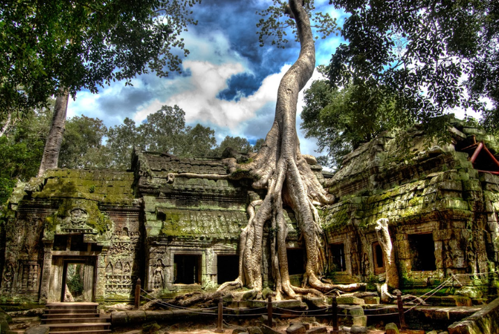 Ta Prohm