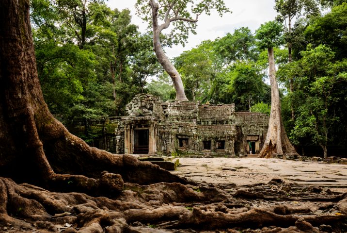 Ta Prohm