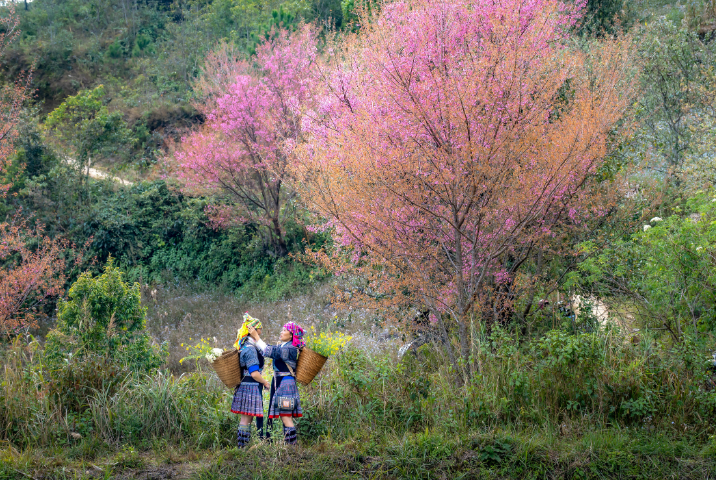Conseils pour bien choisir son restaurant à Sapa