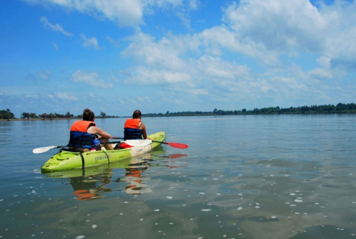 Excursion en kayak au fil des canaux