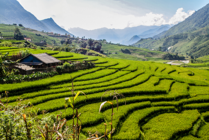 Faire un trek à Sapa à travers les vallées