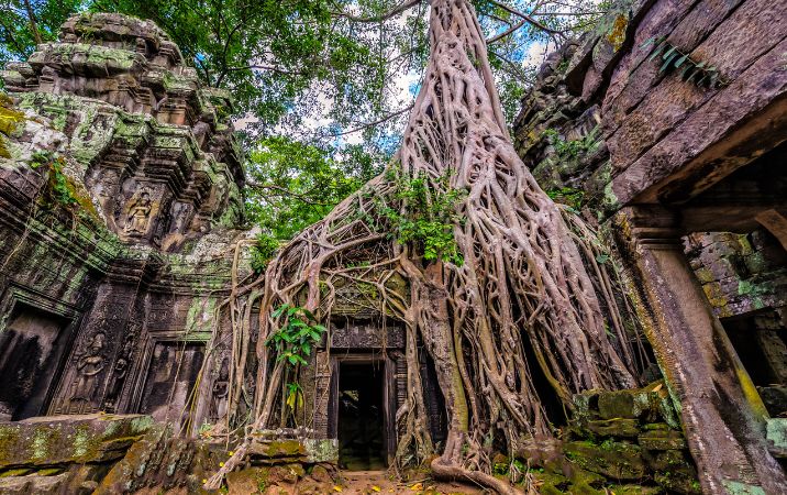 Temple de Ta Prohm