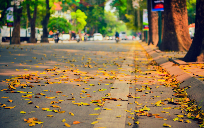 Une ambiance poétique unique à Hanoi